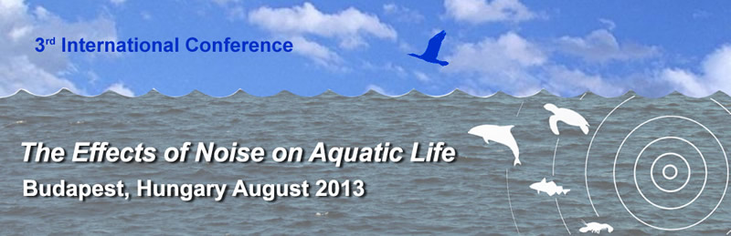 The effects of Noise on Aquatic Noise